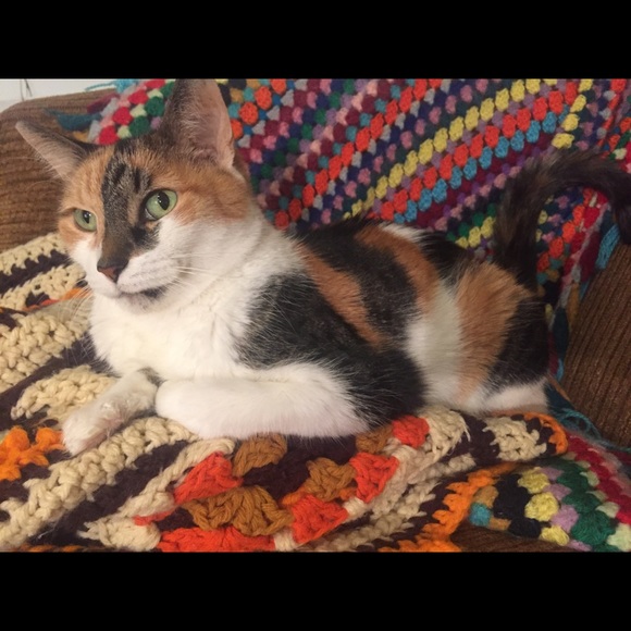 Welcome to my home 🌴✨ - Picture 7 of 8